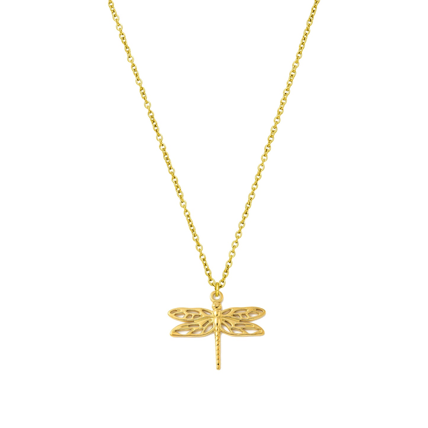 Kette | Edelstahl Dragonfly
